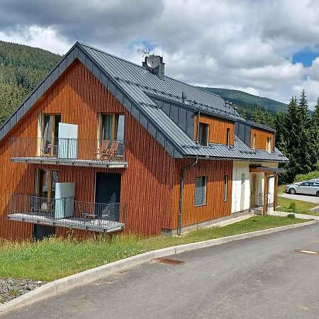 Apartman Pod Sjezdovkami Dolní Morava Buitenkant foto