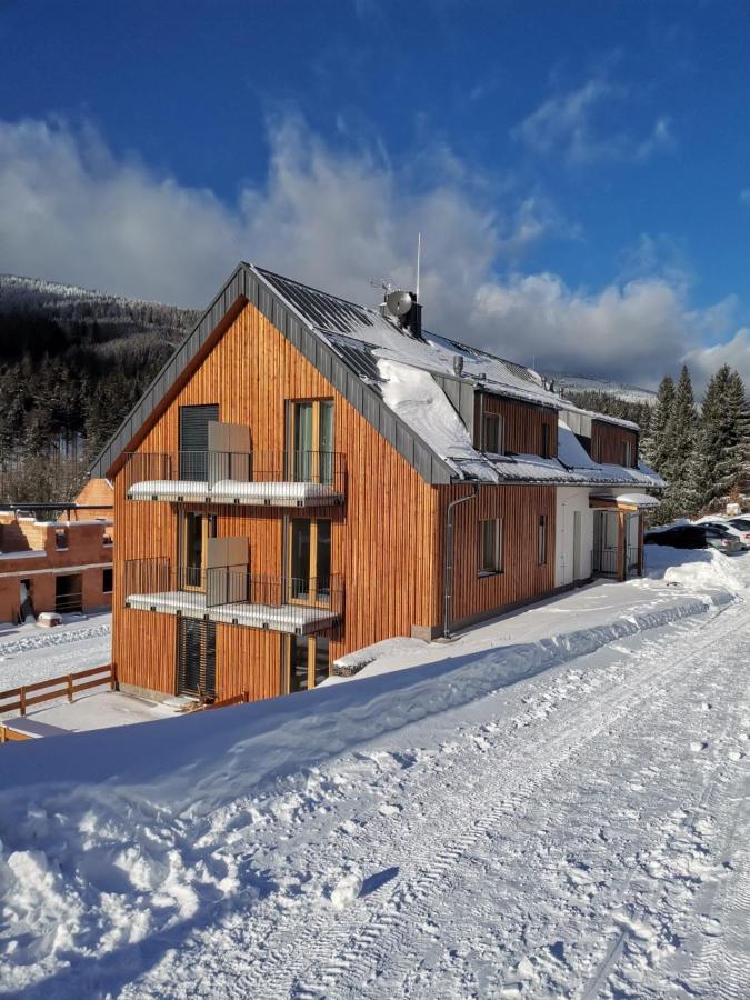 Apartman Pod Sjezdovkami Dolní Morava Buitenkant foto