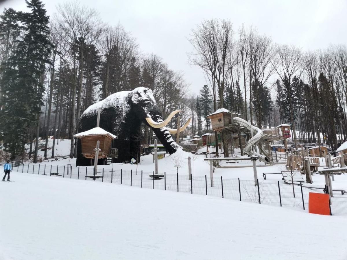 Apartman Pod Sjezdovkami Dolní Morava Buitenkant foto